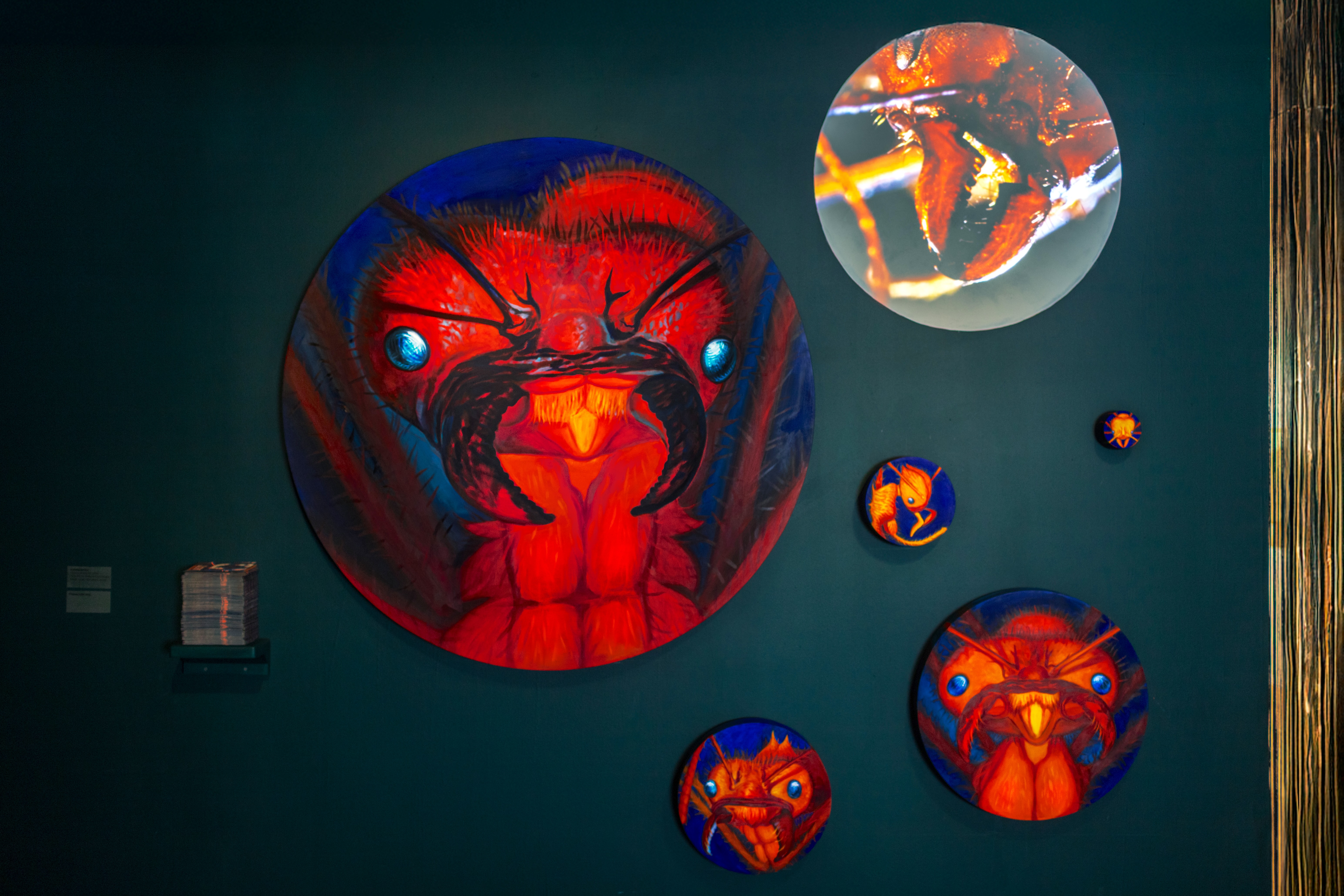 Oil on Canvas Installation